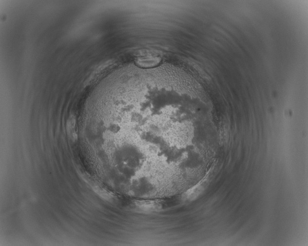 X0000084530187200703091637