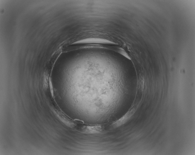 X0000084530188200703091637