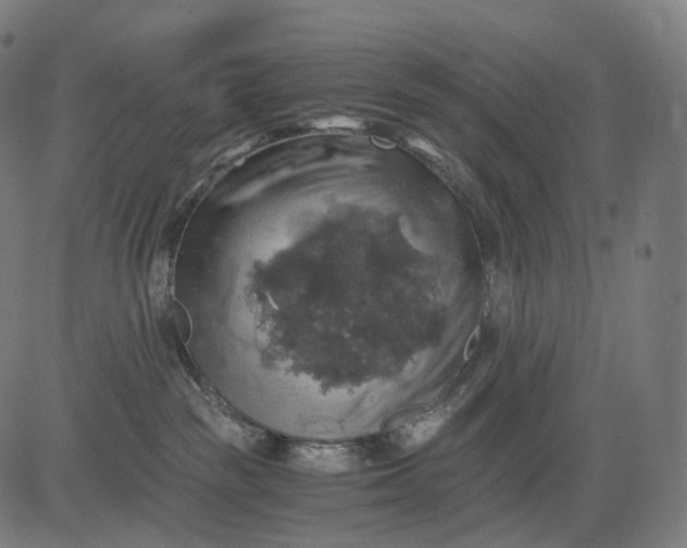 X0000084530189200703091637