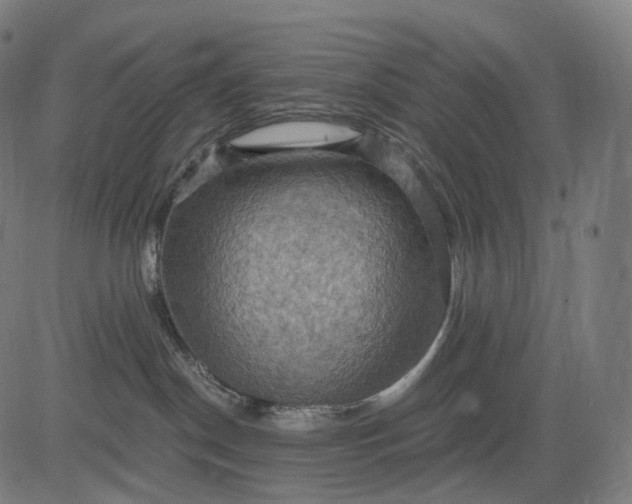 X0000084530190200703091637