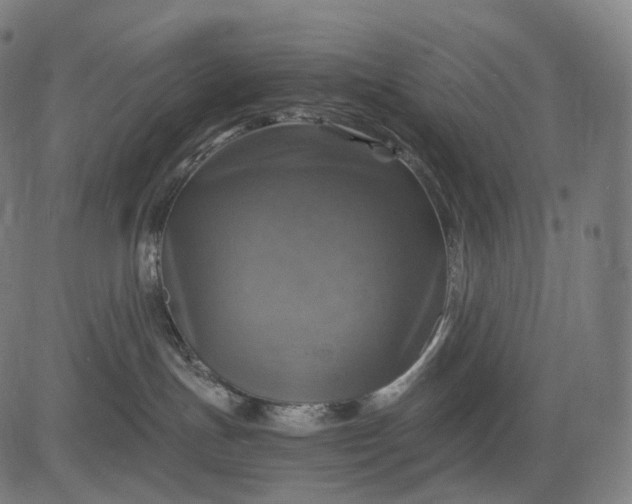 X0000084530191200703091637