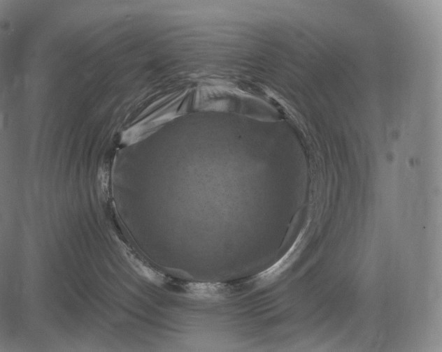 X0000084530192200703091637