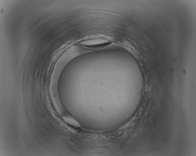 X0000084530193200703091637