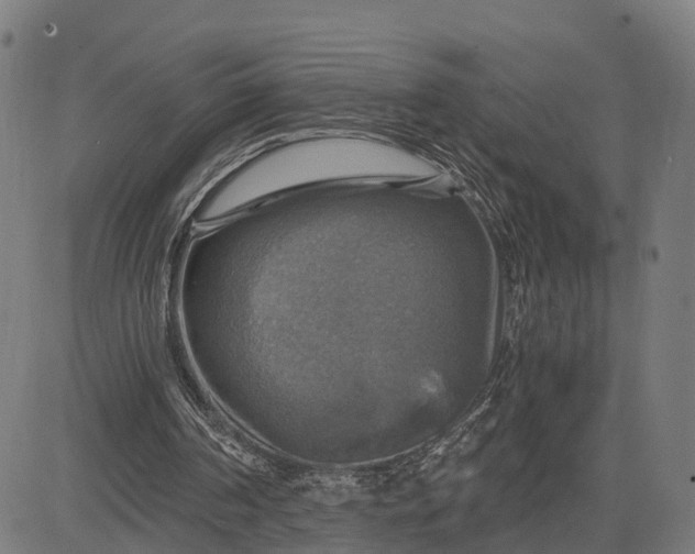 X0000084530194200703091637