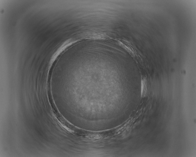 X0000084530195200703091637