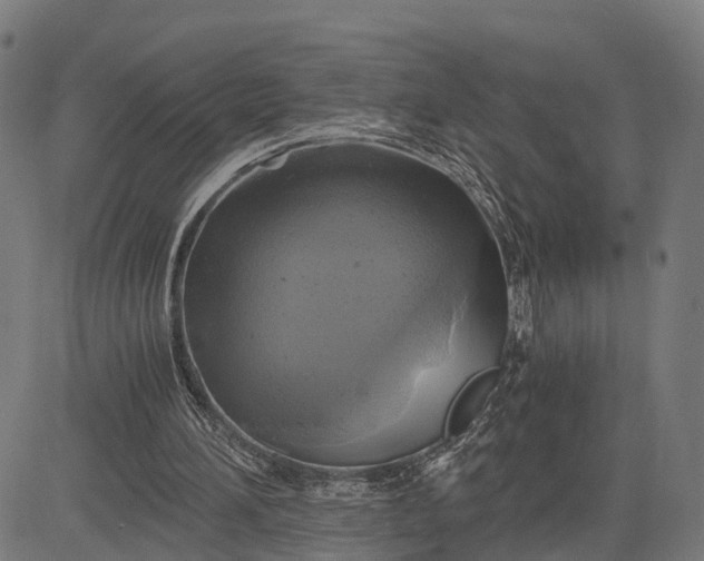 X0000084530196200703091637