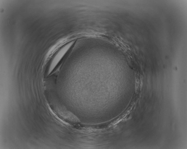 X0000084530197200703091637