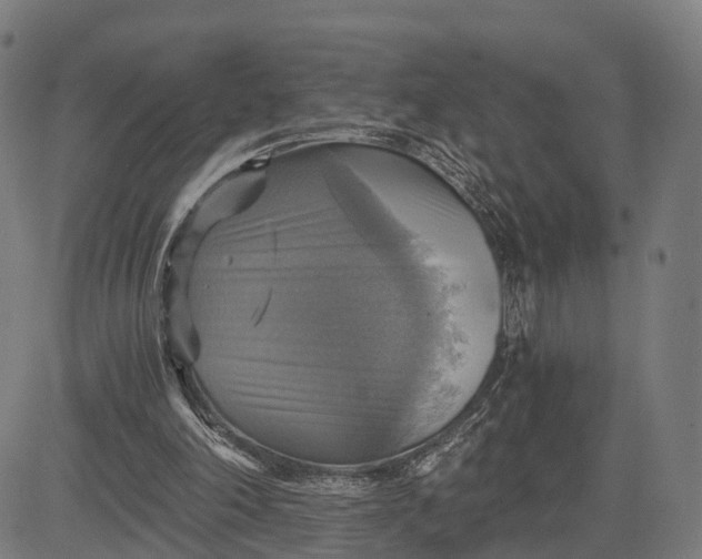 X0000084530198200703091637