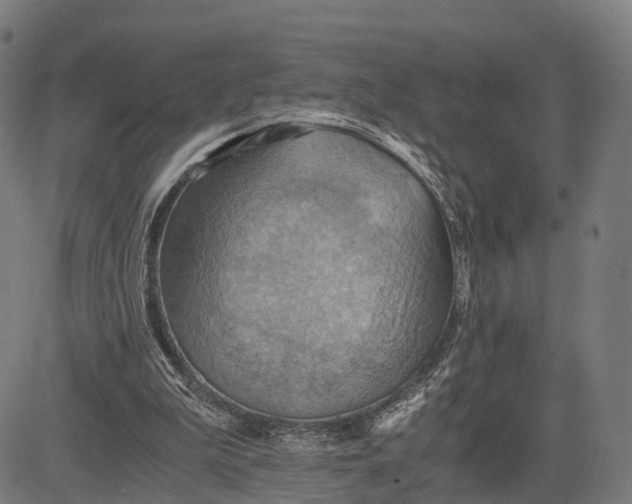 X0000084530199200703091637