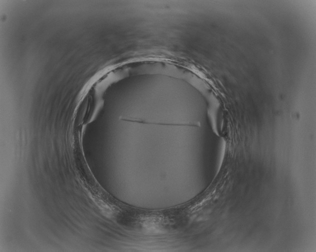 X0000084530200200703091637