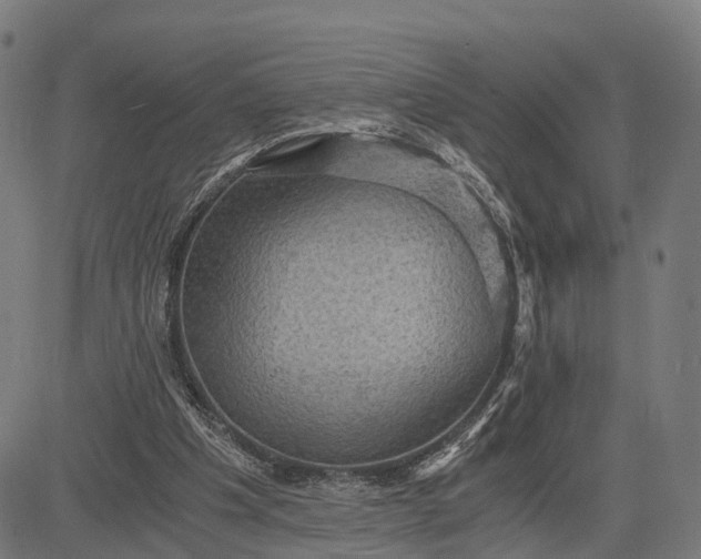 X0000084530201200703091636