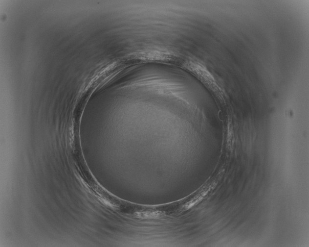 X0000084530202200703091636