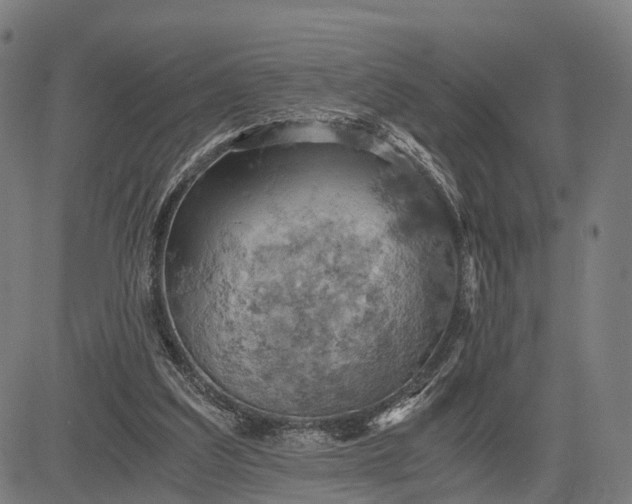 X0000084530203200703091636