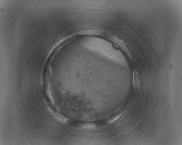 X0000084530204200703091636