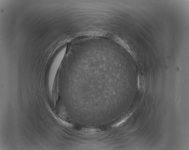 X0000084530205200703091636