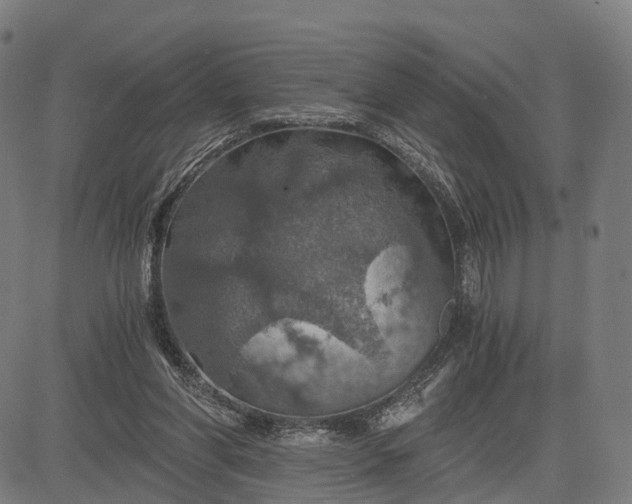 X0000084530206200703091636