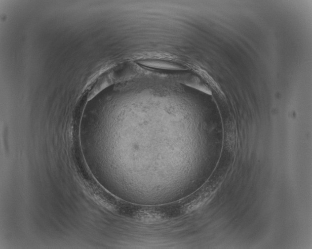 X0000084530207200703091636