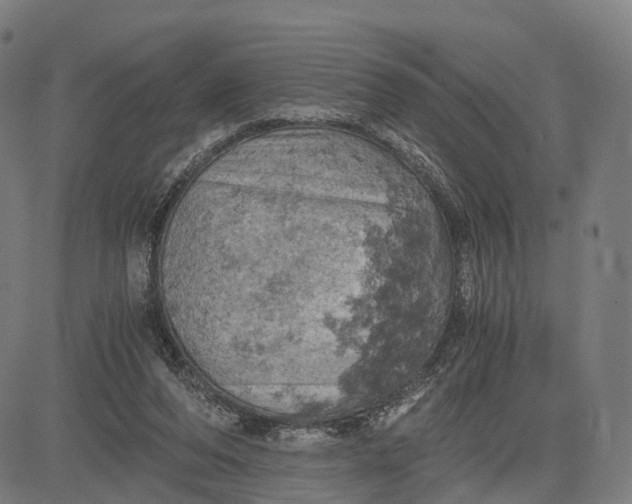 X0000084530208200703091636