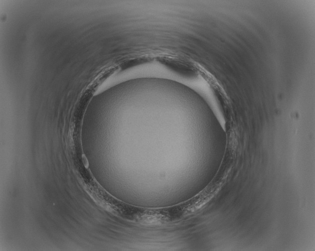 X0000084530209200703091636