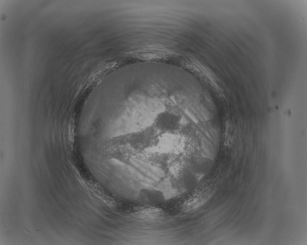 X0000084530210200703091636