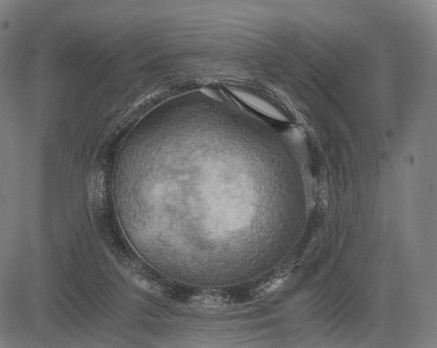 X0000084530211200703091636