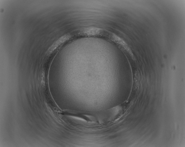 X0000084530212200703091636