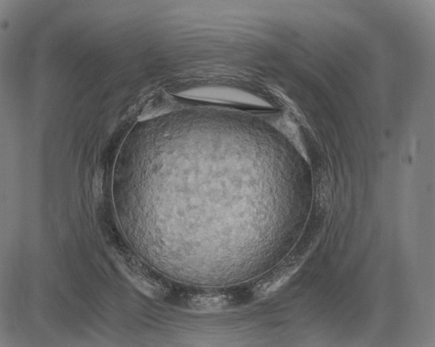 X0000084530213200703091636