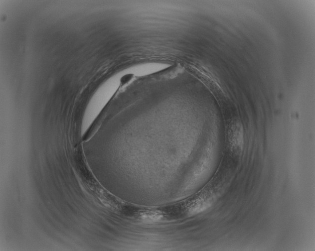 X0000084530214200703091636