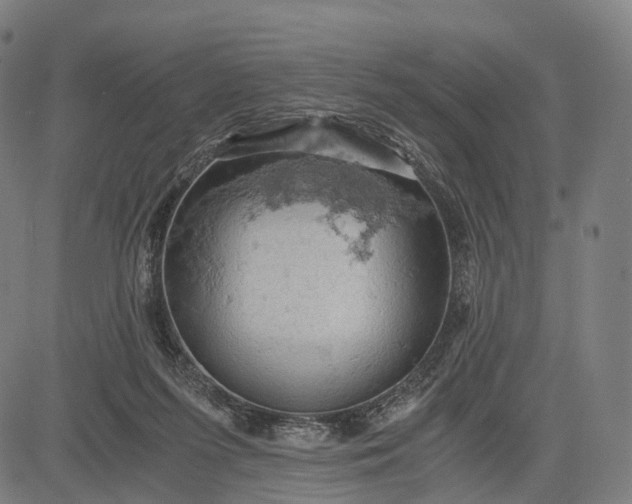 X0000084530215200703091636