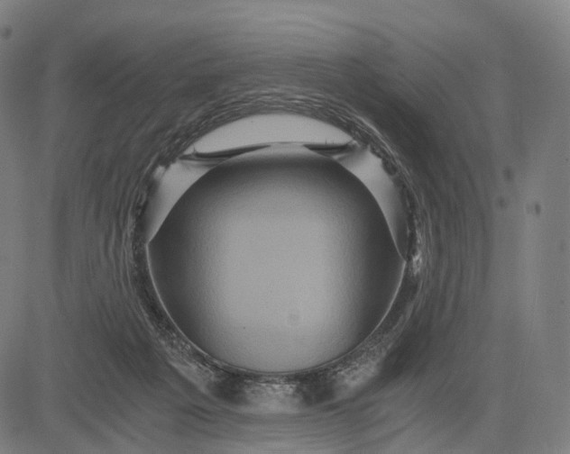 X0000084530217200703091636