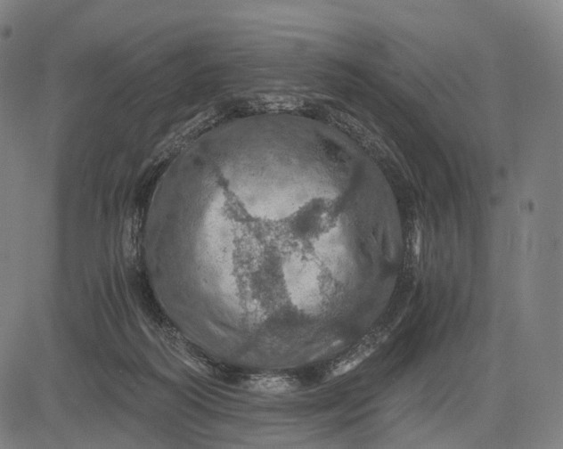 X0000084530218200703091636