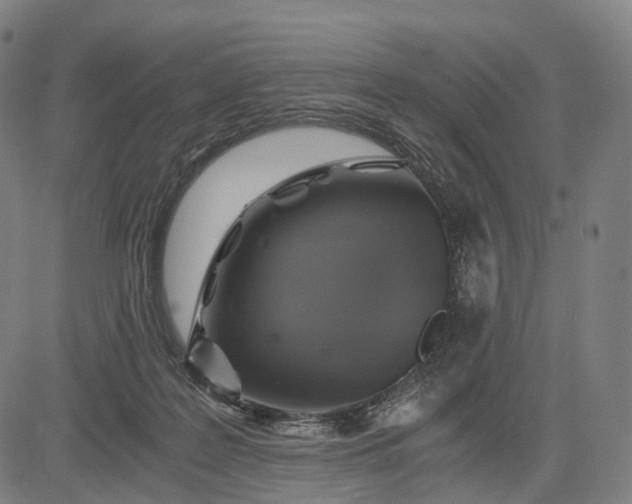 X0000084530219200703091636