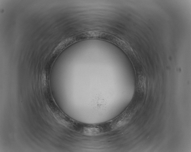 X0000084530220200703091636