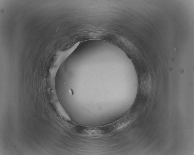 X0000084530221200703091636