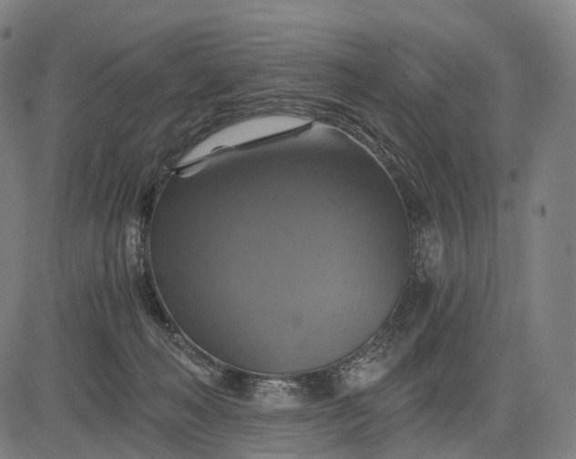 X0000084530222200703091636