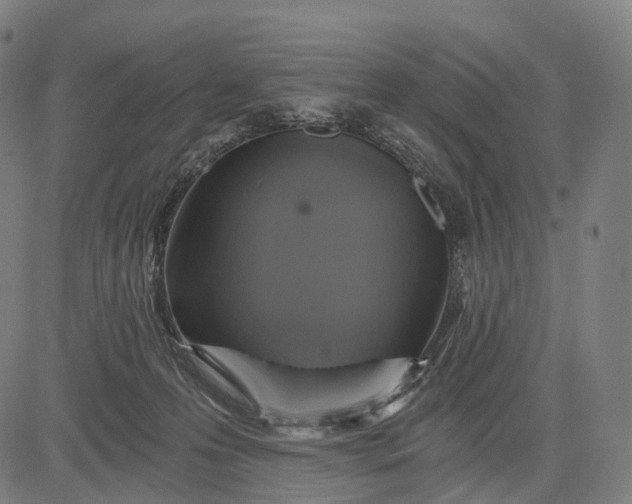 X0000084530223200703091636