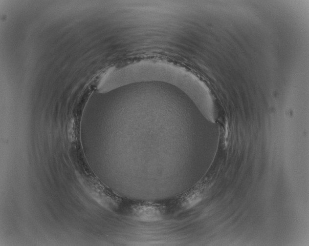 X0000084530224200703091636