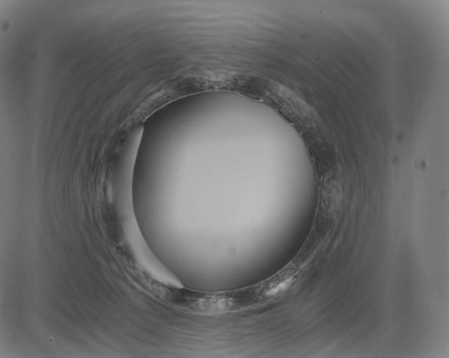 X0000084530225200703091636