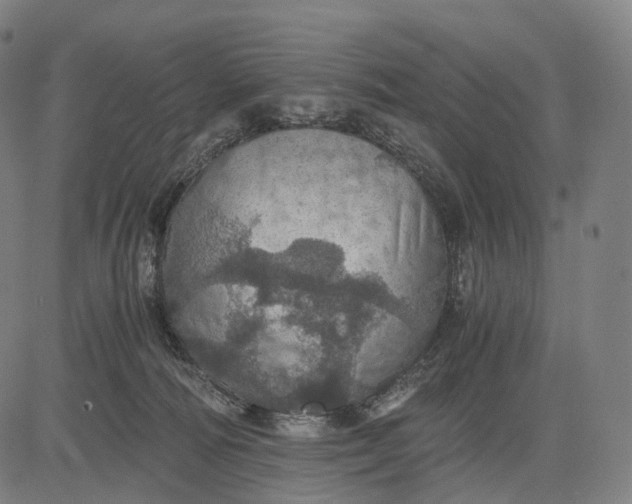 X0000084530226200703091636