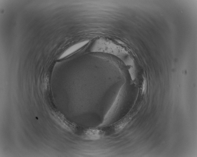 X0000084530227200703091636