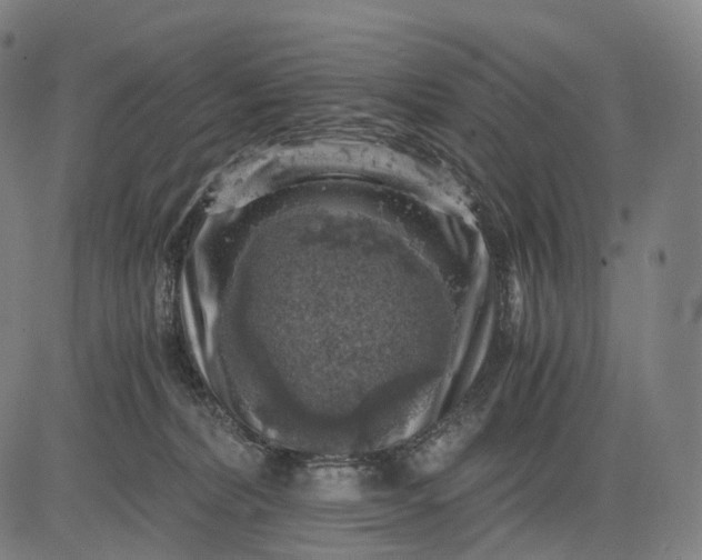 X0000084530228200703091636