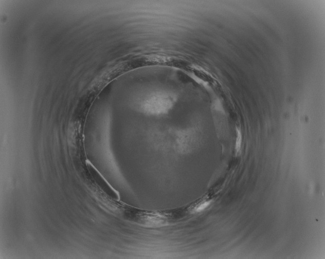 X0000084530229200703091636