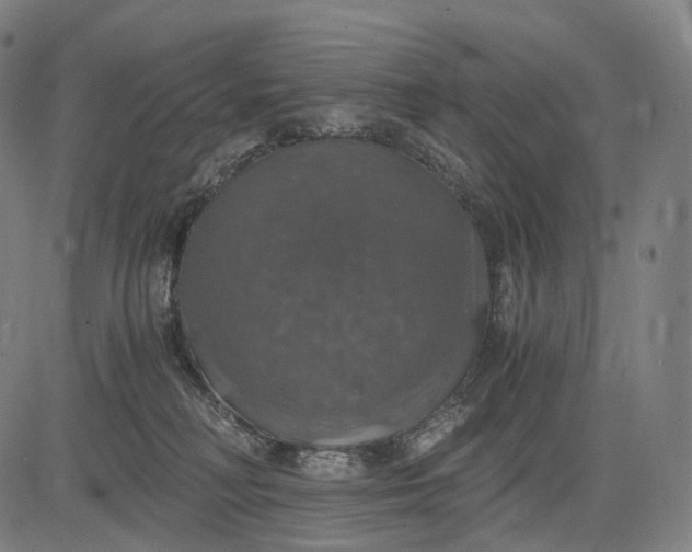 X0000084530230200703091636