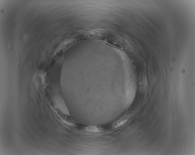 X0000084530231200703091636