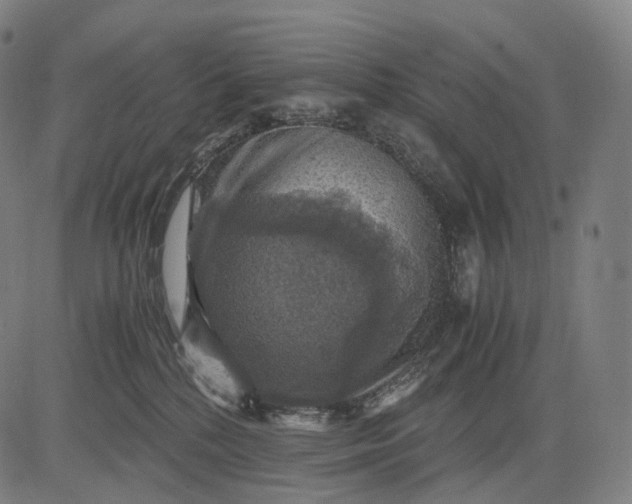 X0000084530232200703091636