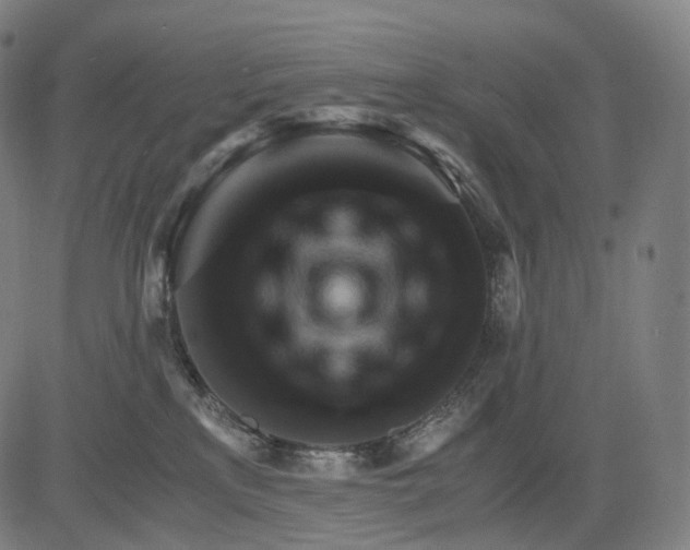 X0000084530233200703091636