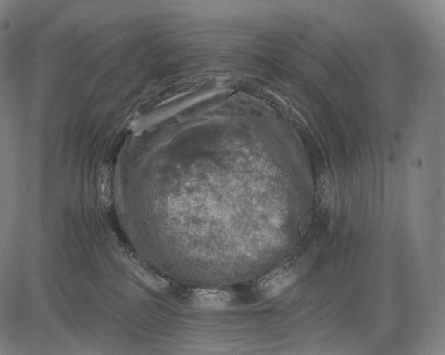 X0000084530234200703091636