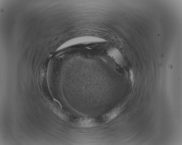 X0000084530235200703091636