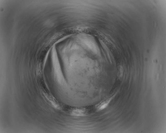 X0000084530236200703091636