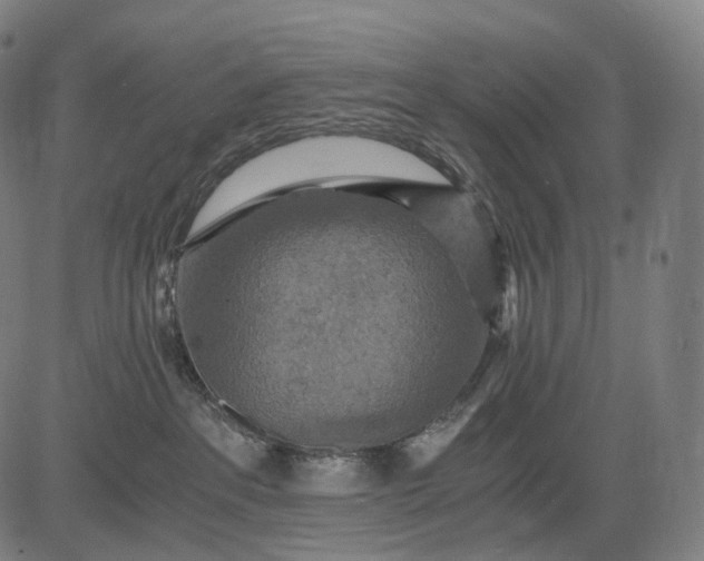 X0000084530237200703091636